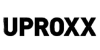 Color logo #23848