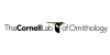 stomach logo #24142